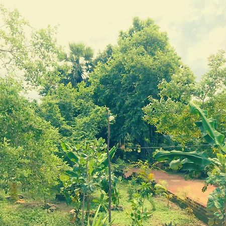 Oleena Home Stay Habarana Exterior photo