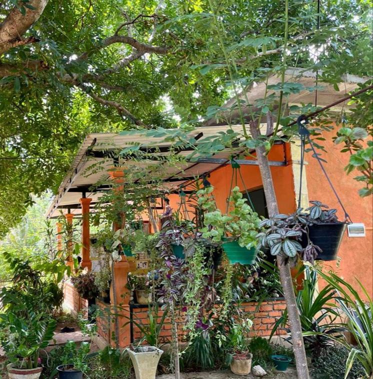 Oleena Home Stay Habarana Exterior photo
