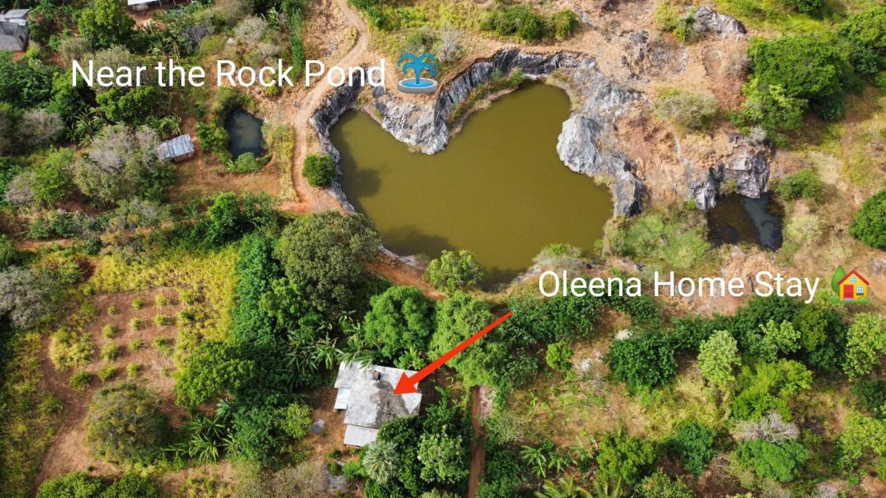 Oleena Home Stay Habarana Exterior photo