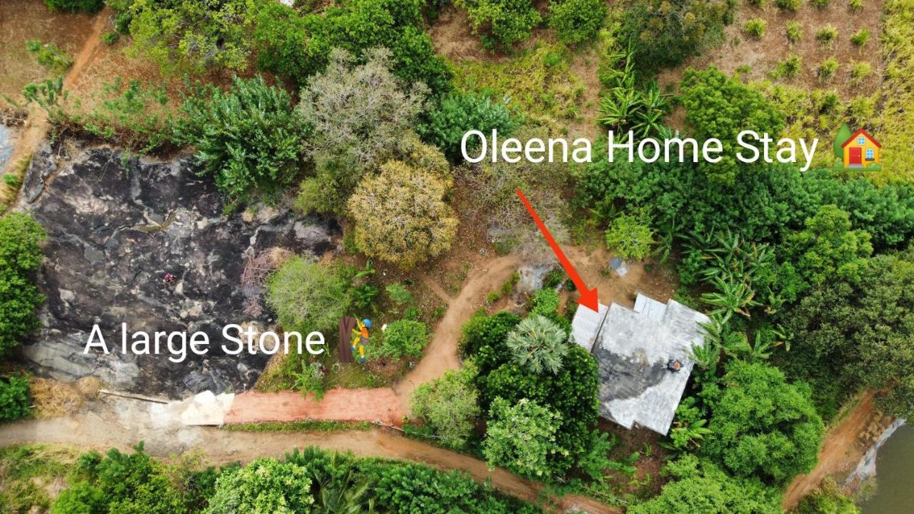 Oleena Home Stay Habarana Exterior photo