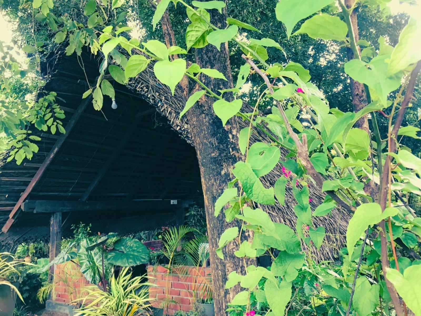 Oleena Home Stay Habarana Exterior photo